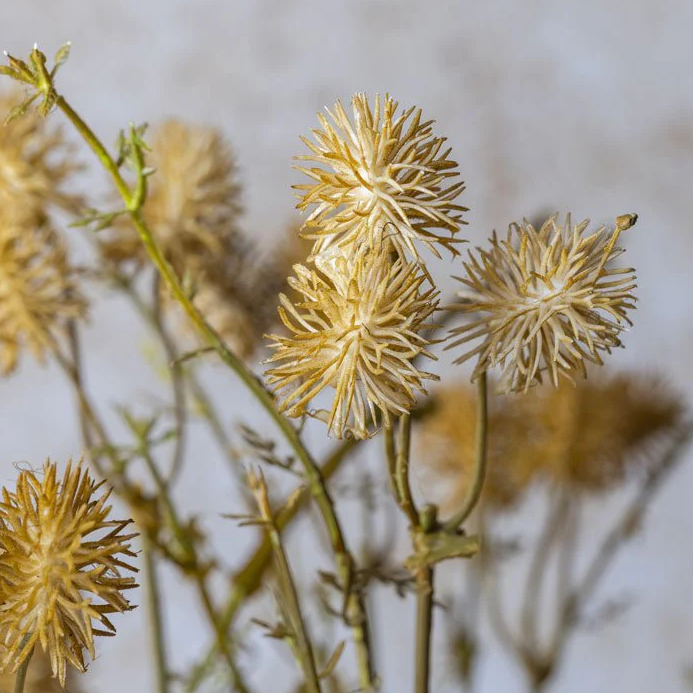 Meadow Pom Pom