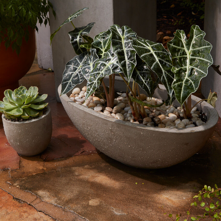 Newport Boat - 13 Hub Lane   |  Concrete Planters