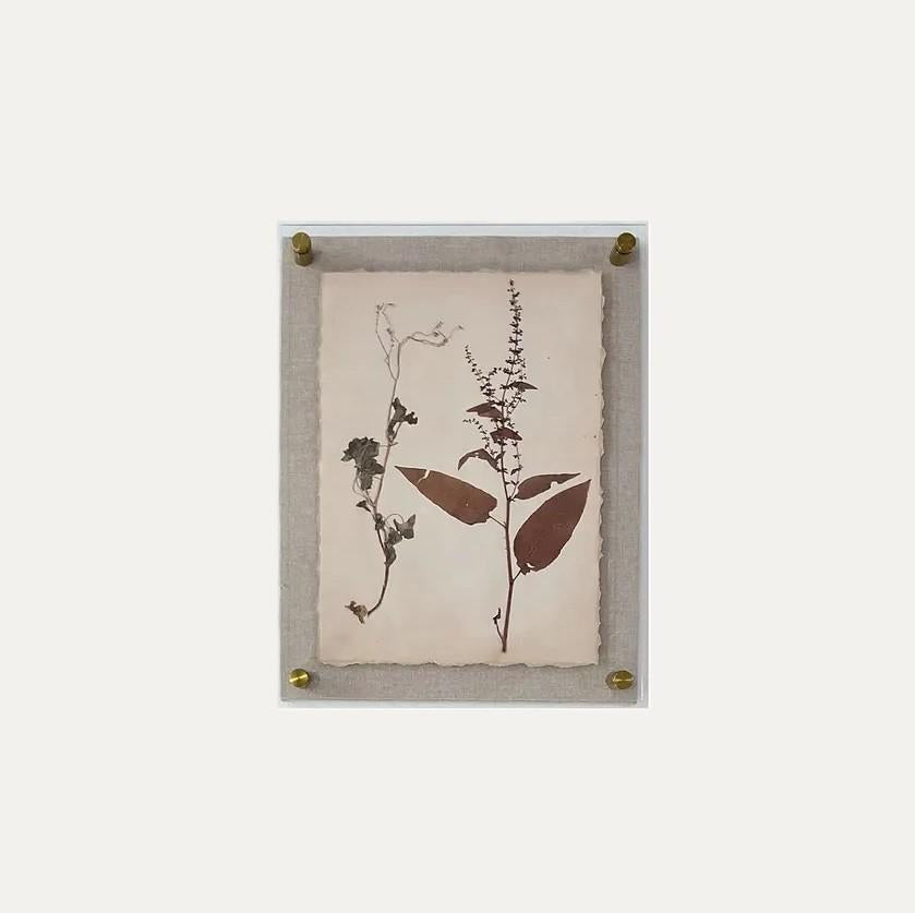 Dried Botanical Print - 13 Hub Lane   |  