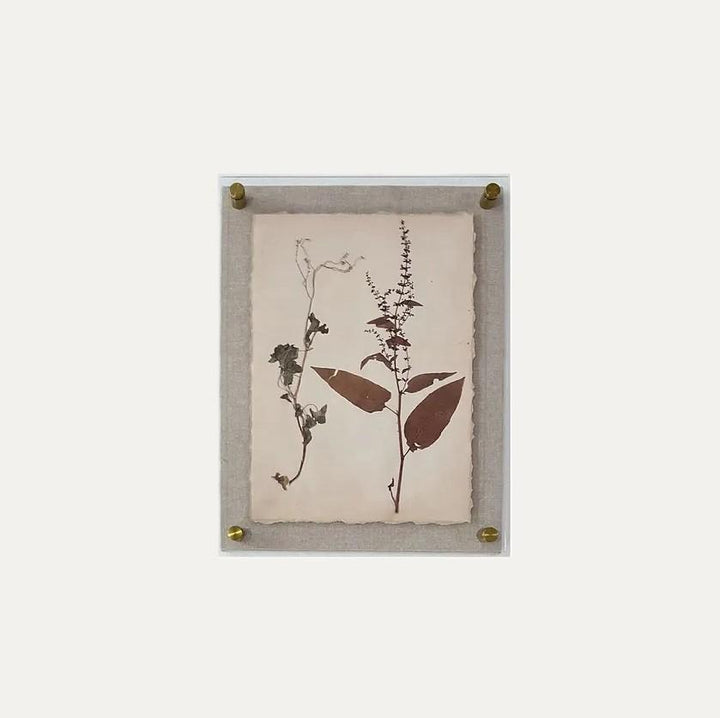 Dried Botanical Print - 13 Hub Lane   |  