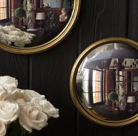 Bull Convex Mirror - 13 Hub Lane   |  Round Wall Mirrors