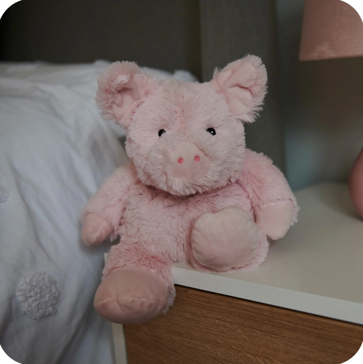 Warmies Pig - 13 Hub Lane   |  Warmies