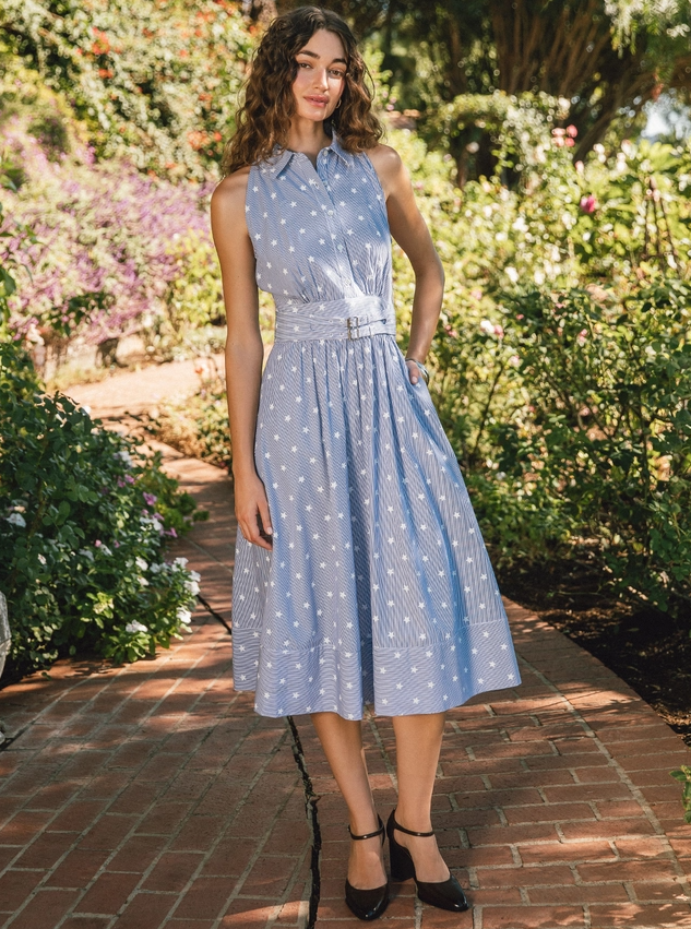 Striped Star Print Belted Midi, Blue
