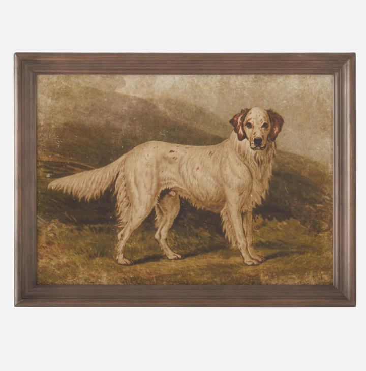Framed Dog Print