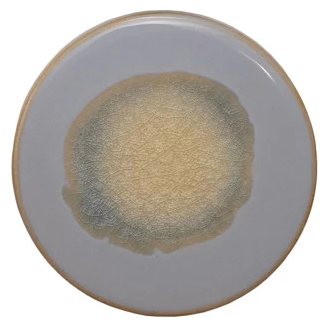 Stoneware Trivet, Reactive Glaze - 13 Hub Lane   |  Trivets