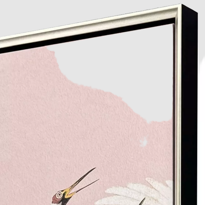 Curious Cranes - Plumule - 13 Hub Lane   |  