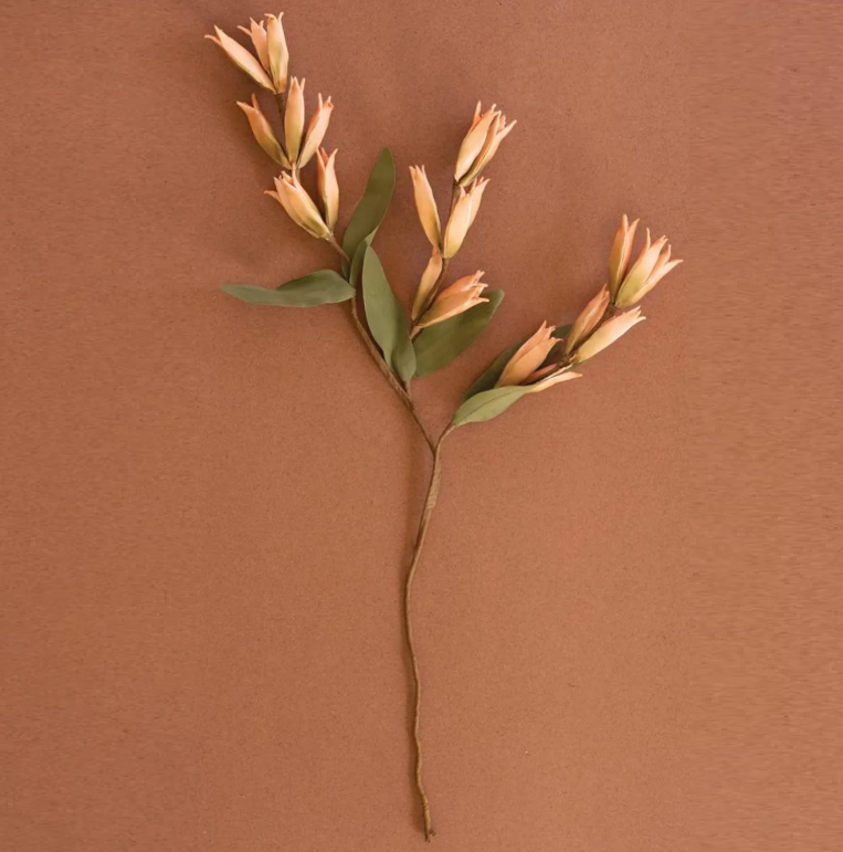 Botanica #9039
