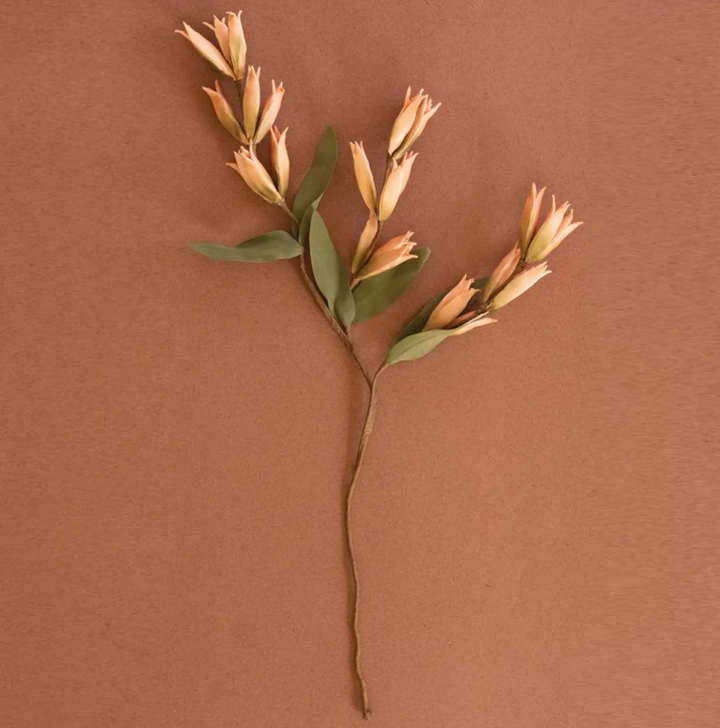 Botanica #9039