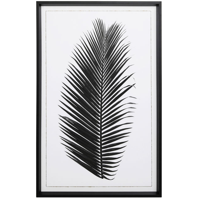 Black Frond I