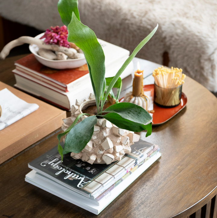3D Geometric Planter