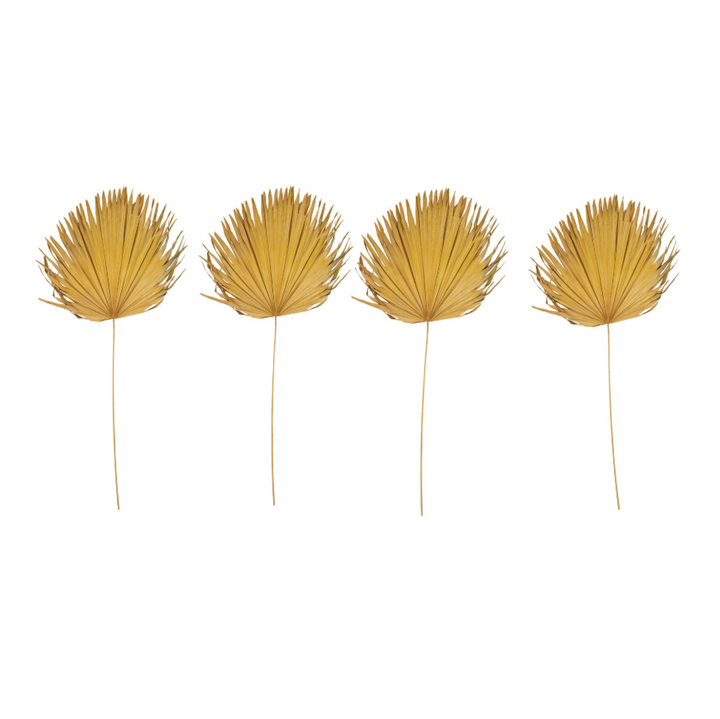 Dried Palm Leaf - 13 Hub Lane   |  Dried Palms