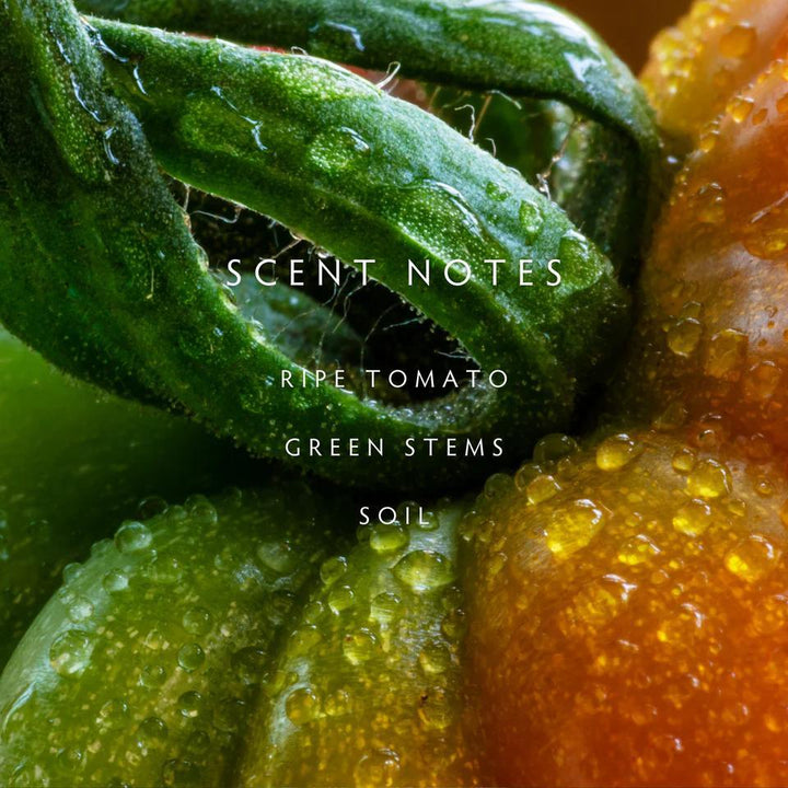Linnea Heirloom Tomato Reed Diffuser