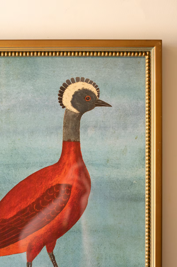 Framed Exotic Animal Print Under Glass - 13 Hub Lane   |  