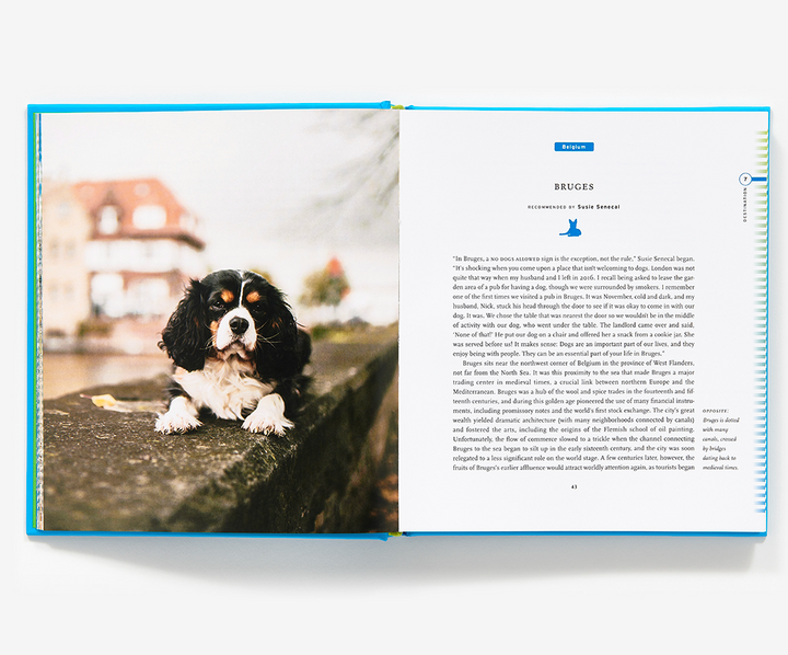 Fifty Places To Travel With Your Dog Before You Die