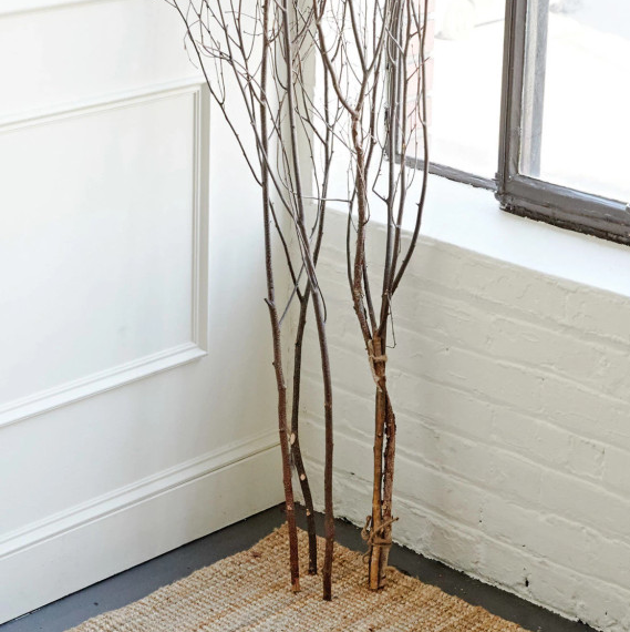 Birch Branch Bundle - 13 Hub Lane   |  Botanical Branches