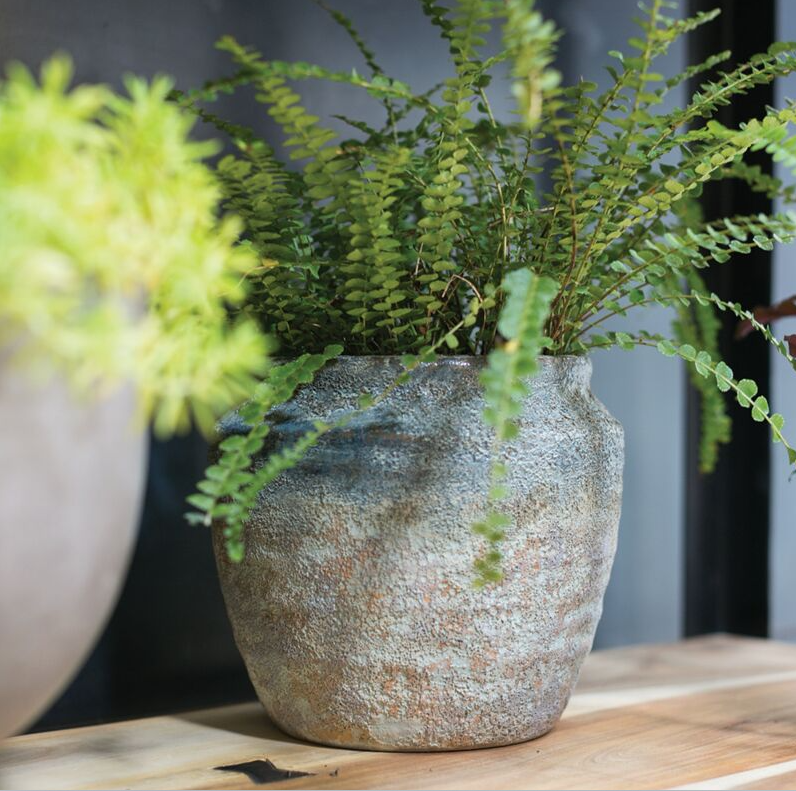 Earthy Pot - 13 Hub Lane   |  
