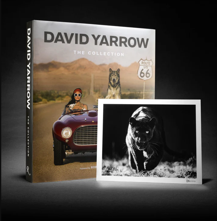 David Yarrow: The Collection
