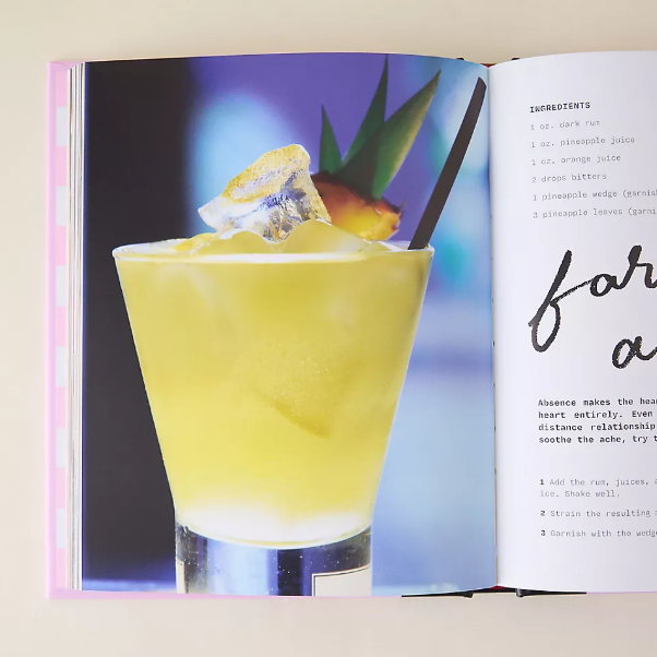 Pour Decisions: 100 Cocktails Inspired by Your Ex - 13 Hub Lane   |  