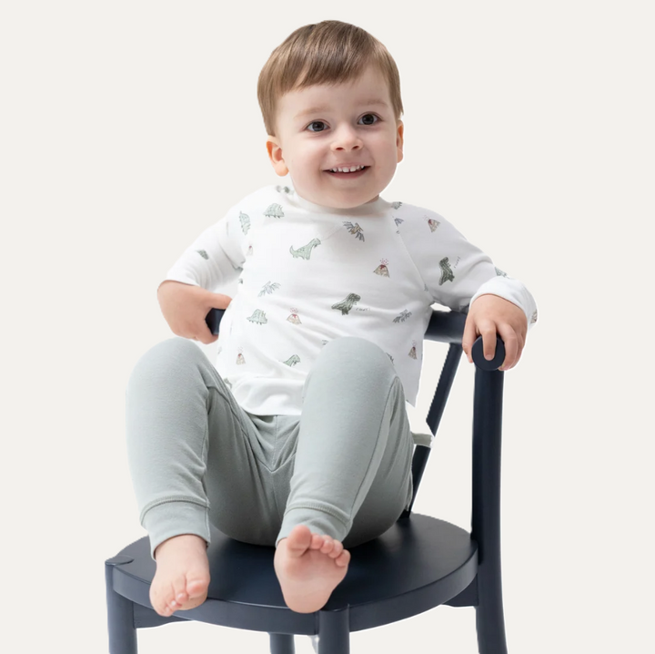 Dinos French Terry - Raglan Sweatshirt