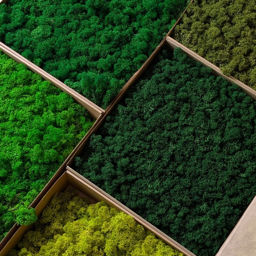 Preserved Reindeer Moss, 16oz. - 13 Hub Lane   |  