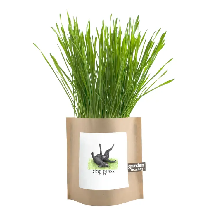 Garden in a Bag, Dog Grass