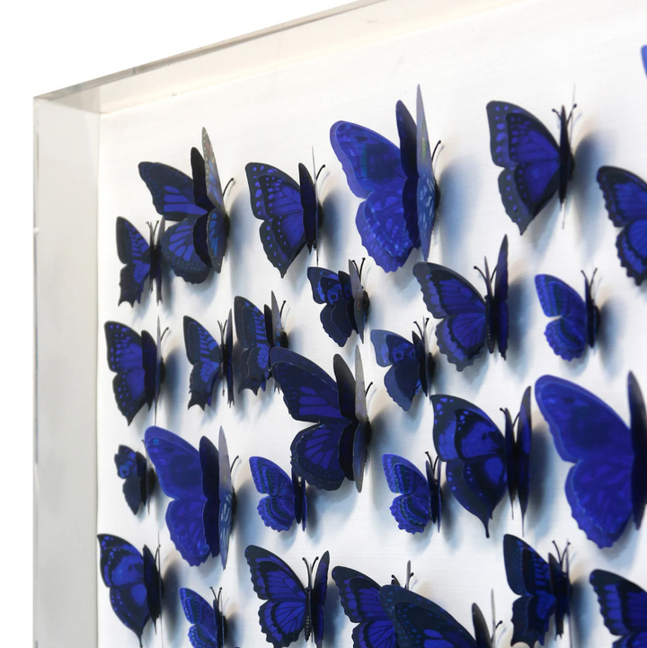 Papillion IV Framed Art