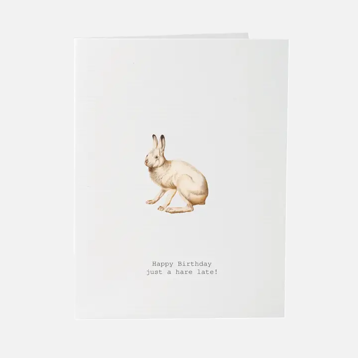 A Hare Late - Birthday