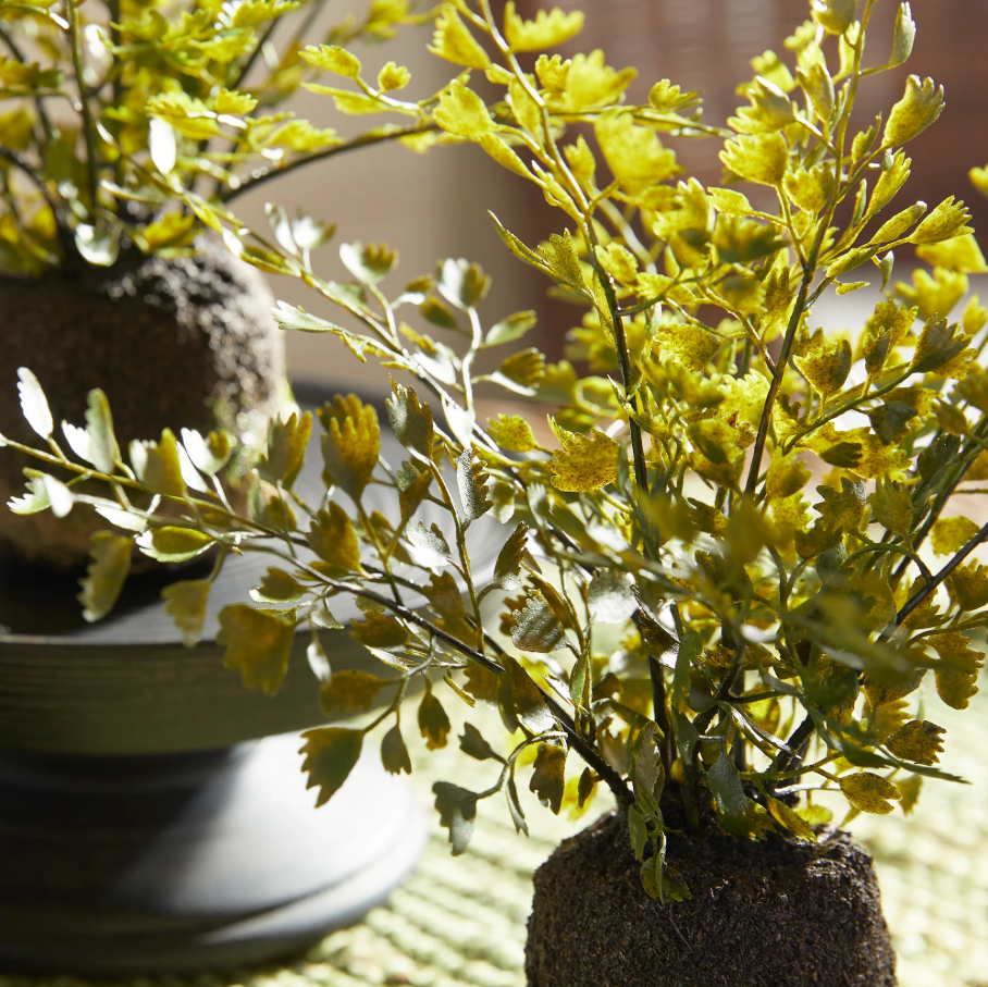 Maidenhair Drop-In - Thumbnail 4