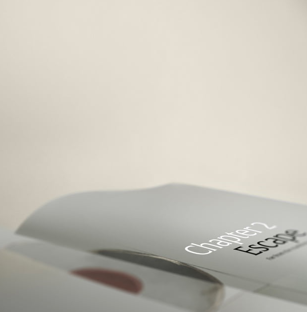 40 by Studio Piet Boon - 13 Hub Lane   |  