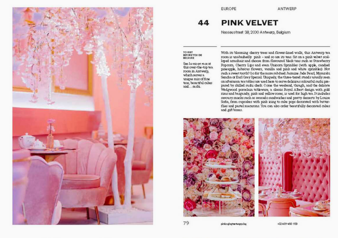 150 Tea Houses You Need to Visit Before You Die - 13 Hub Lane   |  Travel Books