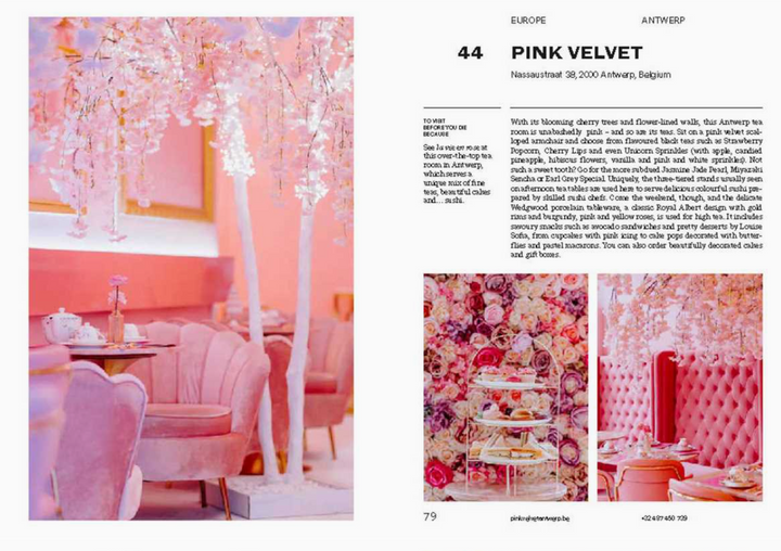 150 Tea Houses You Need to Visit Before You Die - 13 Hub Lane   |  Travel Books