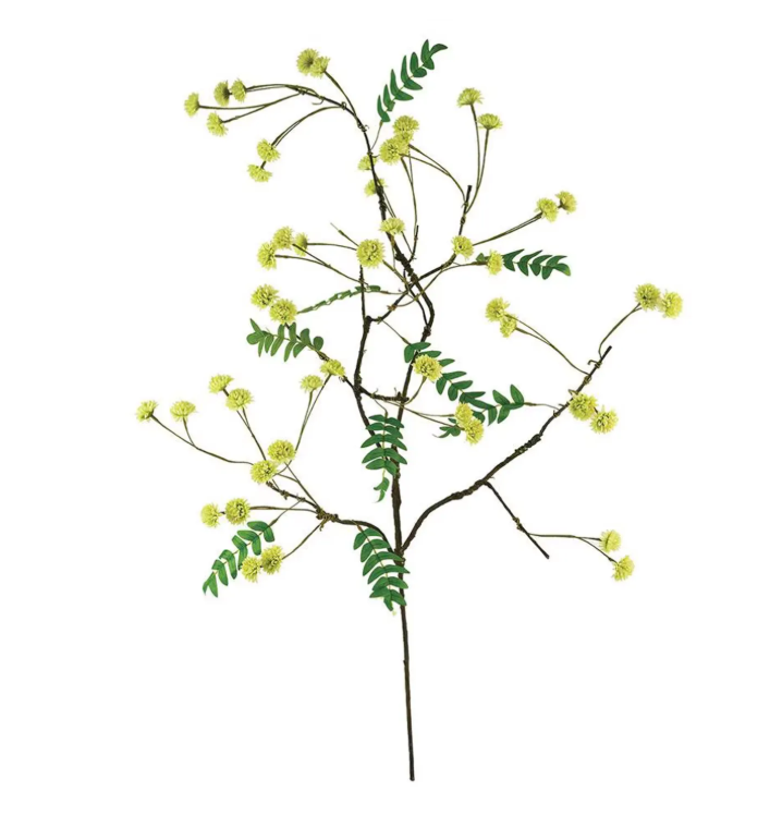 Botanica #3519