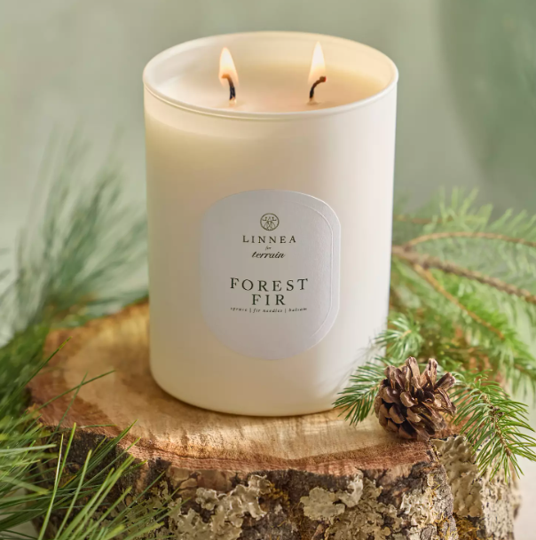Linnea Forest Fir Two-Wick Candle - Large