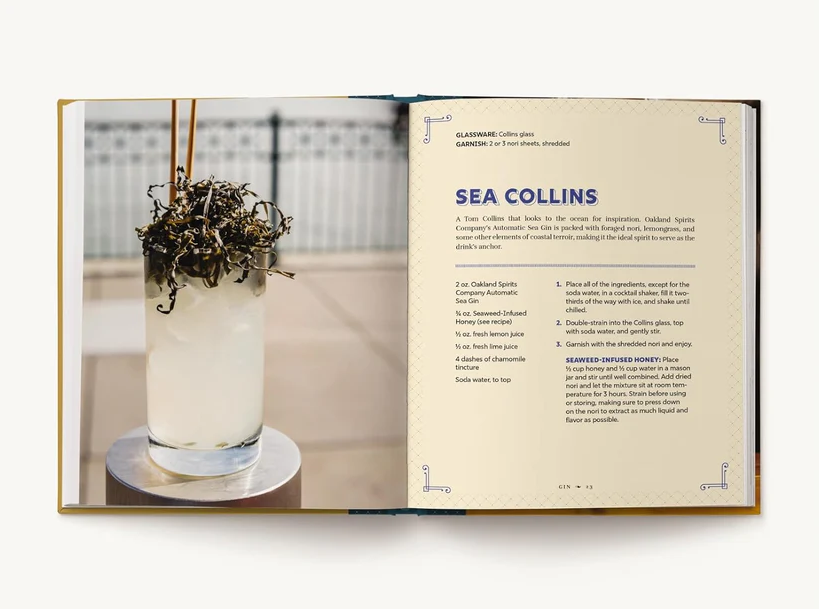 The Home Mixologist: Shake Up Your Cocktail Game with 150 Recipes - 13 Hub Lane   |  