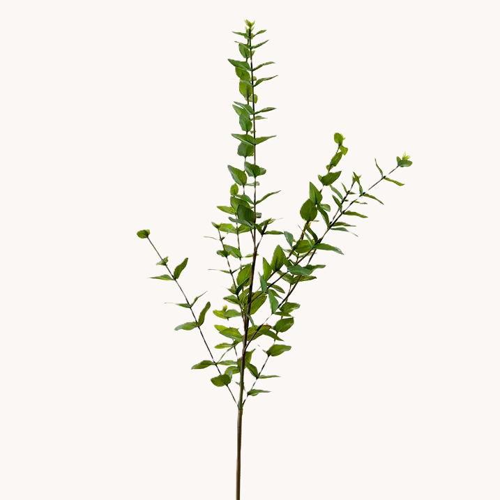 Mini Heart Eucalyptus Spray, Green