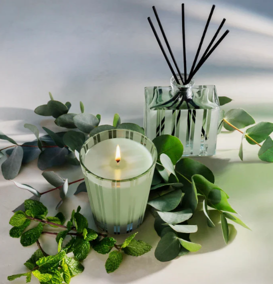 NEST Wild Mint & Eucalyptus Classic Candle - 13 Hub Lane   |  