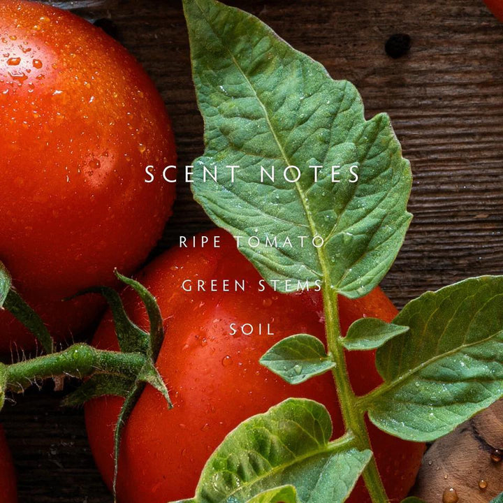 Linnea Heirloom Tomato Room Spray