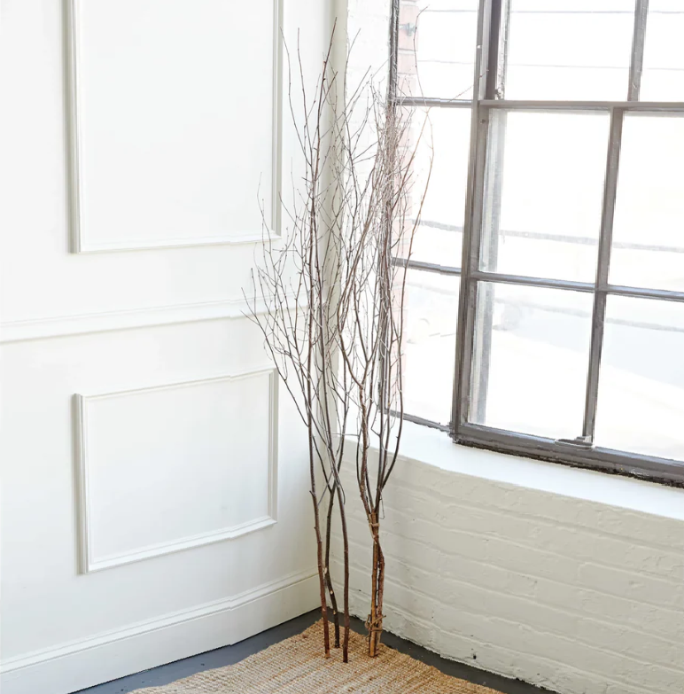 Birch Branch Bundle - 13 Hub Lane   |  Botanical Branches