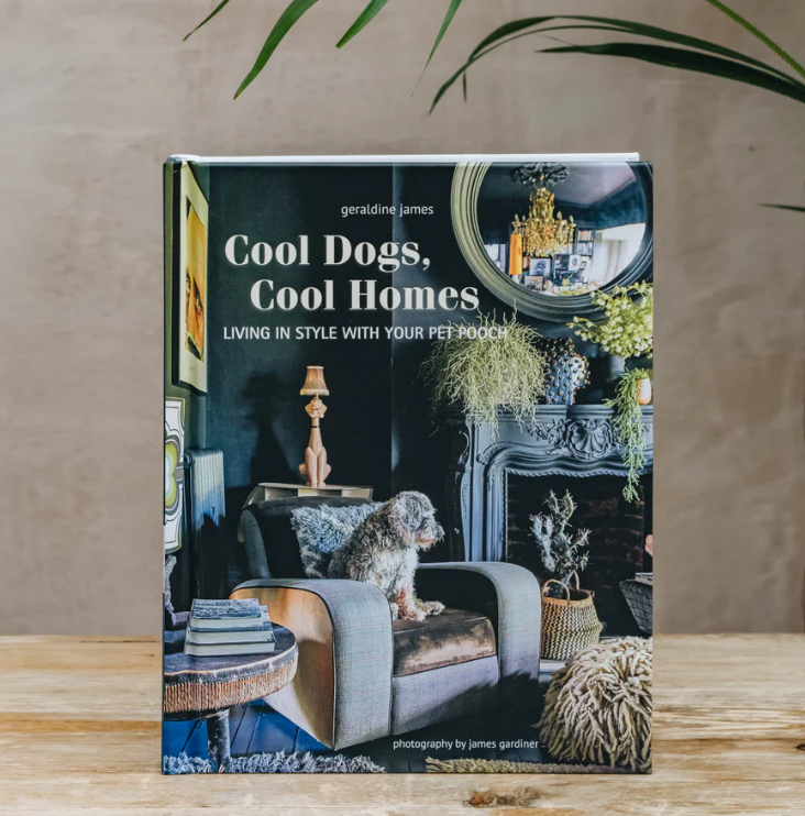 Cool Dogs, Cool Homes: Living in Style With Your Dog