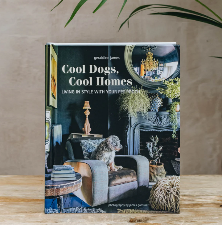 Cool Dogs, Cool Homes: Living in Style With Your Dog