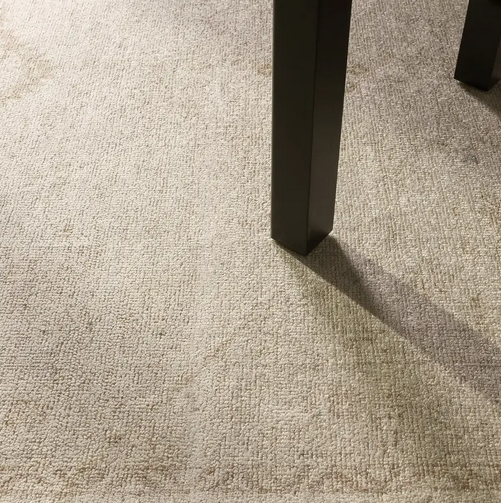 Casen 8x10 Rug - 13 Hub Lane   |  Area Rugs