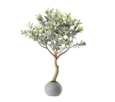 Frost Boxwood Topiary in Cement Ball - 13 Hub Lane   |  