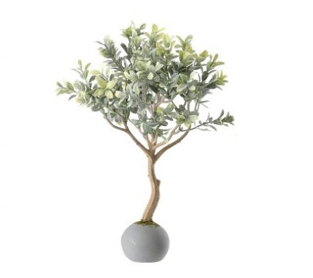 Frost Boxwood Topiary in Cement Ball