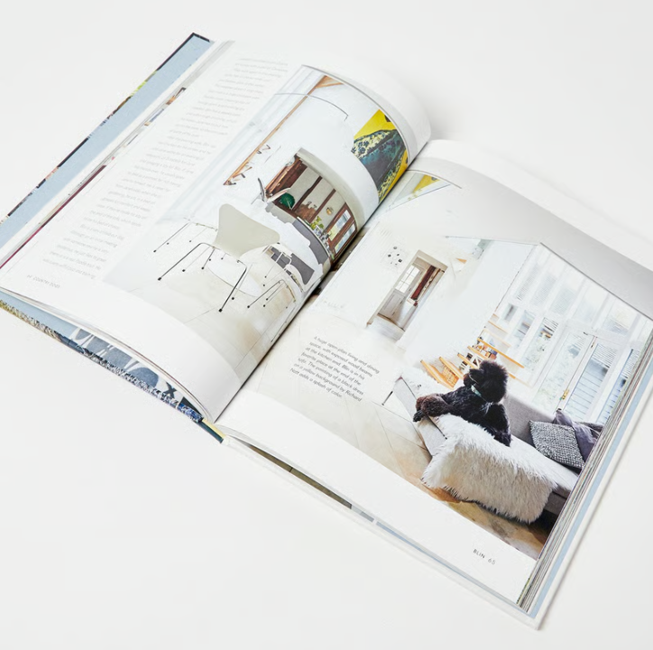 Cool Dogs, Cool Homes: Living in Style With Your Dog