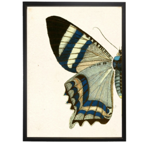 Grey Butterfly Dyptich