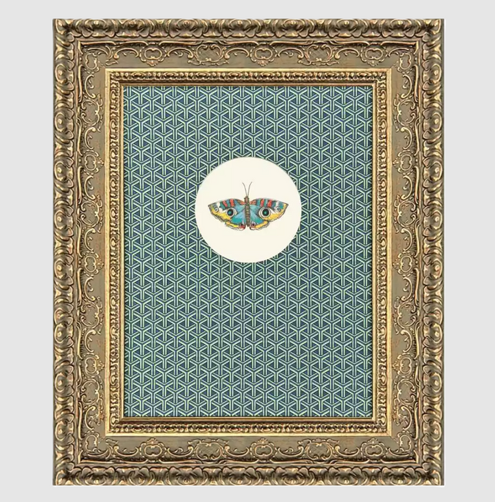 Aflutter II - 13 Hub Lane   |  