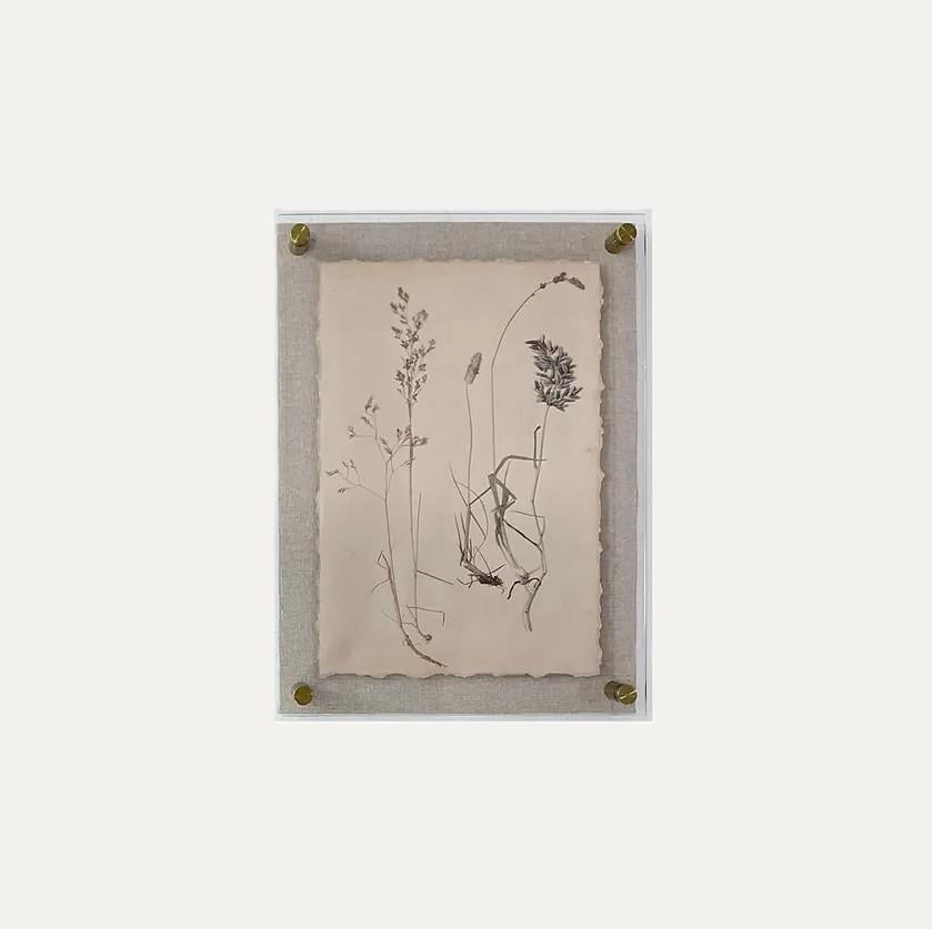 Dried Botanical Print - 13 Hub Lane   |  
