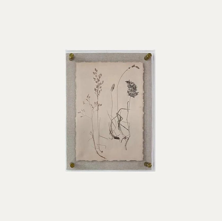 Dried Botanical Print - 13 Hub Lane   |  