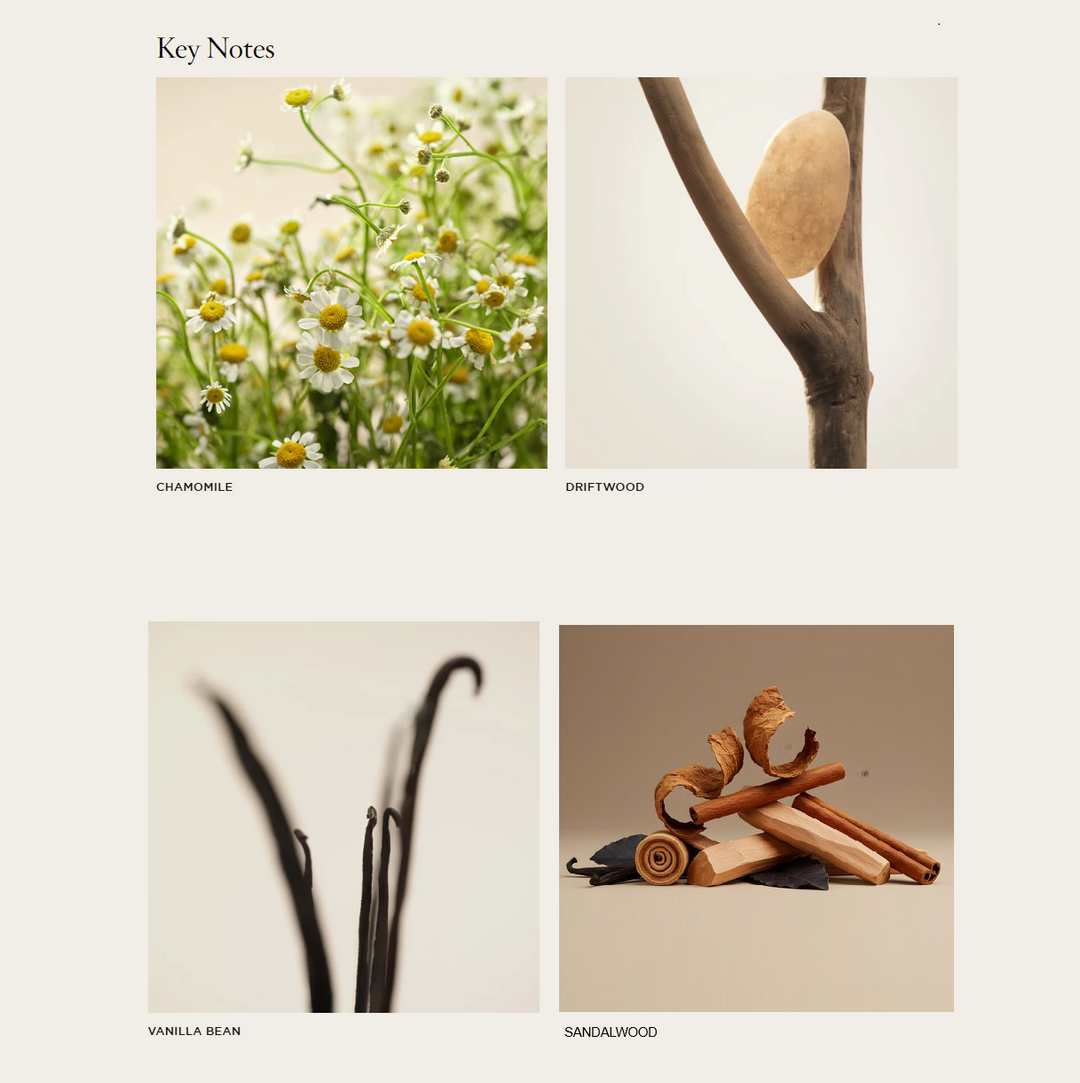 NEST Driftwood & Chamomile Classic Candle