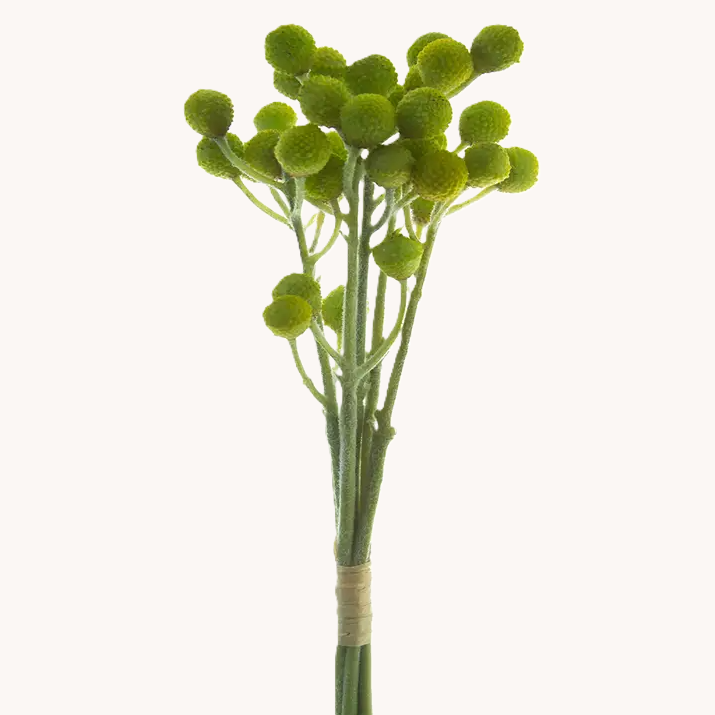 Brunia Ball Bundle, Green & Yellow